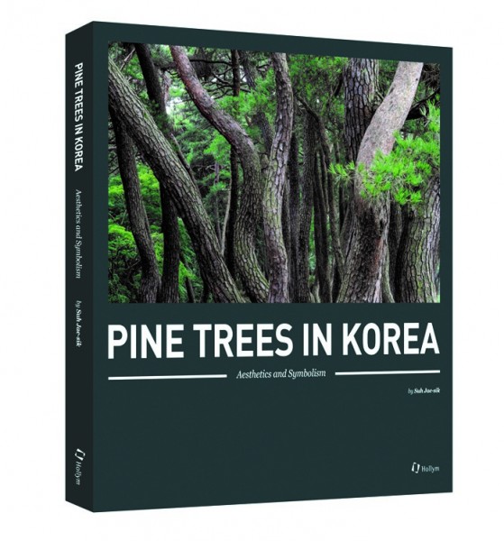 Pine Trees in Korea